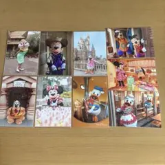 ディズニーリゾート 写真 スペシャルフォト