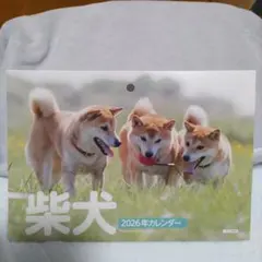 Item thumbnail for item 99c64725-d9e2-4549-8986-477a74e16832