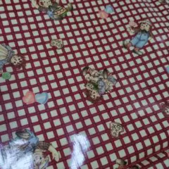 ラガディアン＆アンディ　ラミネート生地　赤色チェック