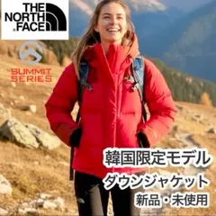 THE NORTH FACE 韓国限定モデル　ダウンジャケット