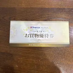 ヤマダ電機株主優待券