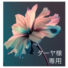 ターヤ様　専用