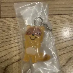 ノンタンめじるしアクセサリー2 たぬきさん