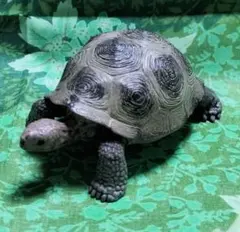 推奨品✨Schleich✨超リアル！ゾウガメ リク亀 ゴジラ 超亀フィギュアのサムネイル