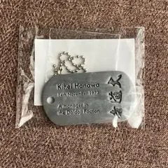 激レア】ワンピース 海軍 ドッグタグ コレクション キーホルダー 少尉