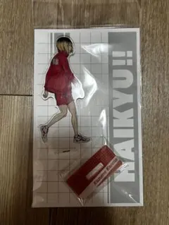 ハイキュー‼︎ アクリルスタンド　描き下ろしビジュアル 孤爪研磨