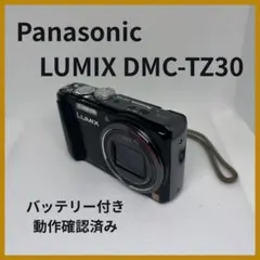 2026年最新】LUMIX DMC-TZ30の人気アイテム - メルカリ