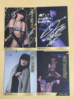 2026年最新】マリーゴールド プロレスの人気アイテム - メルカリ