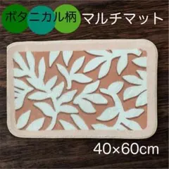 Item thumbnail for item d981e363-5b2f-4484-bcb7-a3151b04b22f