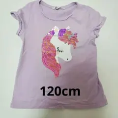 120cm　リバーシブルスパンコールT　ユニコーン