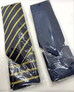 ENLISION ネクタイ 2本セット 新品