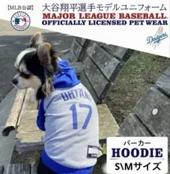 新品未使用☆大谷翔平 グラフィックパーカー MLBPA公認 M グレー 