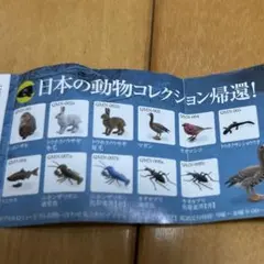 2026年最新】東北／北限のサルの人気アイテム - メルカリ