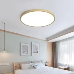 OR036309P1非常用照明器具 - メルカリ