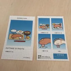 サンリオ　KIRIMICHAN. 証明写真スマロイド