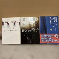 文庫本3冊セット 白石一文 矢口敦子 沢木冬吾 小説 ミステリー