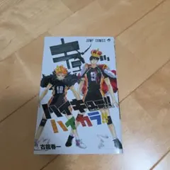 ハイキュー!! 公式カラーイラスト集 ハイカラ!!