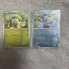 r*k様 ポケットモンスター カード フシギダネ ゼニガメ 2枚セット ポケモンカード ゼニガメ フシギダネ プロモ 2枚セット - メルカリ