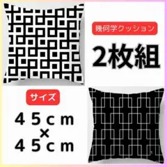 両面印刷 幾何学 北欧 モダン クッションカバー 2枚 モノトーン