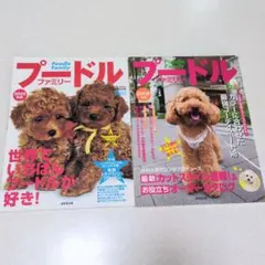 Item thumbnail for item 4ed671b7-1ff7-4ab3-9b8a-06e3fe92943d