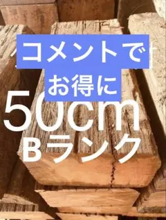 “DIY” 및 “정원 가꾸기”에 적합한 500mm B-랭크 슬리퍼.J01