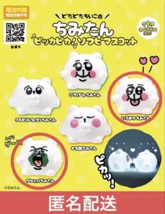 2026年最新】ちみたん あにゃの人気アイテム - メルカリ