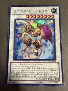 遊戯王　ライフストリームドラゴン　PSA10 レリーフ　EXVC ライフストリームドラゴン【レリーフ】{EXVC-JP038}《シンクロ》