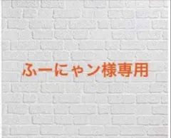 ふーにゃン様専用 シャンティ 他