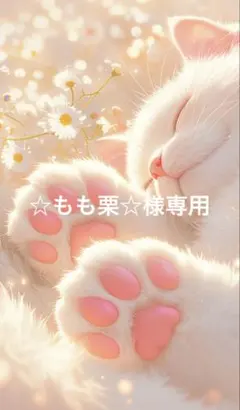 ☆もも栗様専用☆