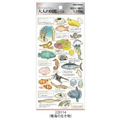大人の図鑑　暖かい海の生き物編