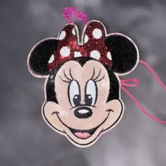 ディズニー ミニーマウス スパンコール パスケース