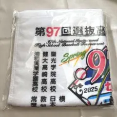 2025年最新】97回 甲子園の人気アイテム - メルカリ