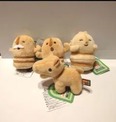 はにおのスローライフST AMUSE アミューズ - メルカリ