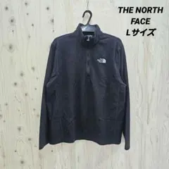『 THE NORTH FACE (アメリカ古着) 』ハーフジップフリース/L