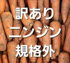 ちゃんまま様専用