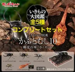 いきもの大図鑑 かぶとむし10 オンライン版 全5種コンプリートセット