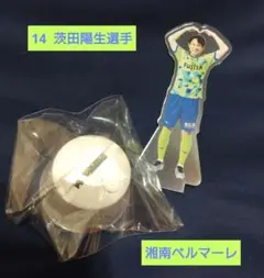 湘南ベルマーレ　LEDプレイヤーズアクリルスタンド 　茨田陽生選手