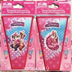 M*゜様 ディズニー パルパルーザ ワッペンアクセサリー チップとデール クラリ