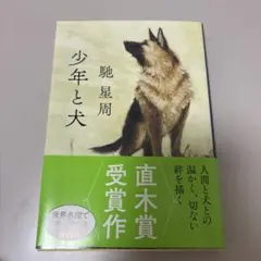 少年と犬