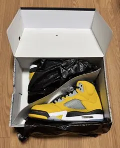 Nike Air Jordan 5 Retro 