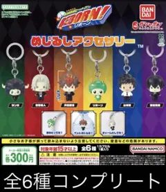 コンプリートセット　家庭教師ヒットマンREBORN! めじるしアクセサリー