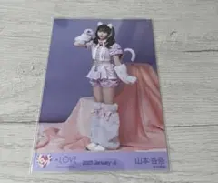高松瞳 ＝LOVE 生写真 猫衣装 - メルカリ
