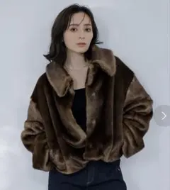 【anuans】大人気完売　ステンカラーショートファーコート　ジャケット　F anuans】大人気完売 ステンカラーショートファーコート ジャケット F