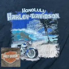 龍様専用　ハーレーダビットソン　3XL 黒　tシャツ　バックプリント バイク