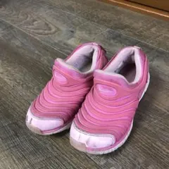 NIKE ダイナモフリー  20 NIKE