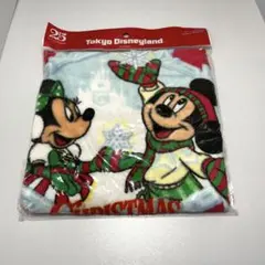 東京ディズニーリゾート 25周年 ウォッシュタオル ウィンターVer.