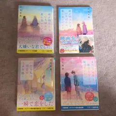 汐見夏衛4冊セット（シリーズ）