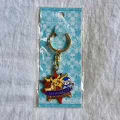 ポケモンセンターサッポロ 1周年記念 キーホルダー ポケモンセンターサッポロ 1周年記念 キーホルダー - メルカリ