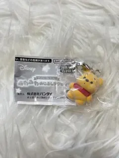 신품 미개봉 ディズニー ふわふわめじるし アクセサリー プーさん