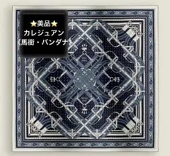 ⭐️美品⭐️HERMES カレジュアン 《馬銜・バンダナ》 カシシル - メルカリ